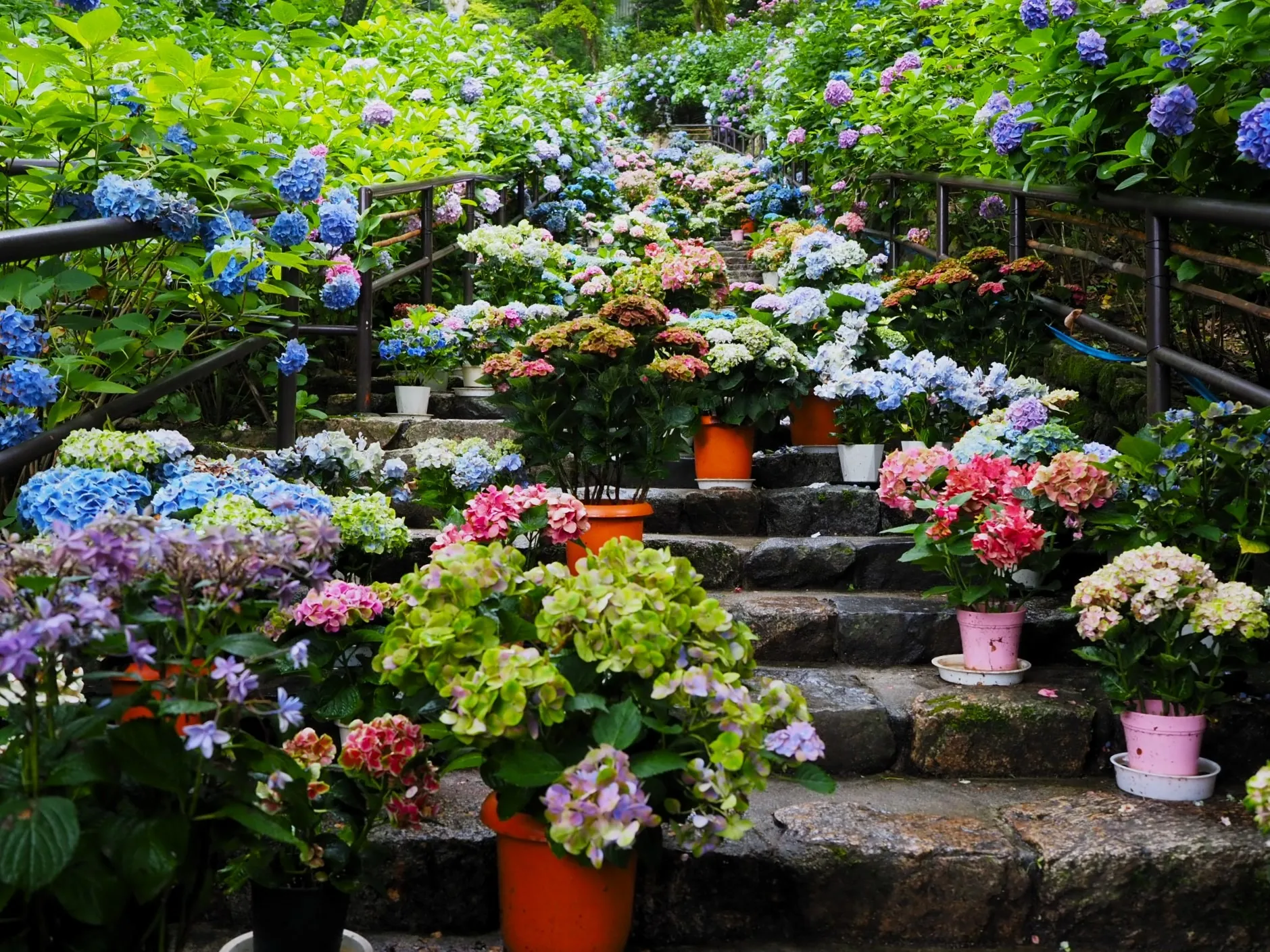 ディエルシー会計事務所