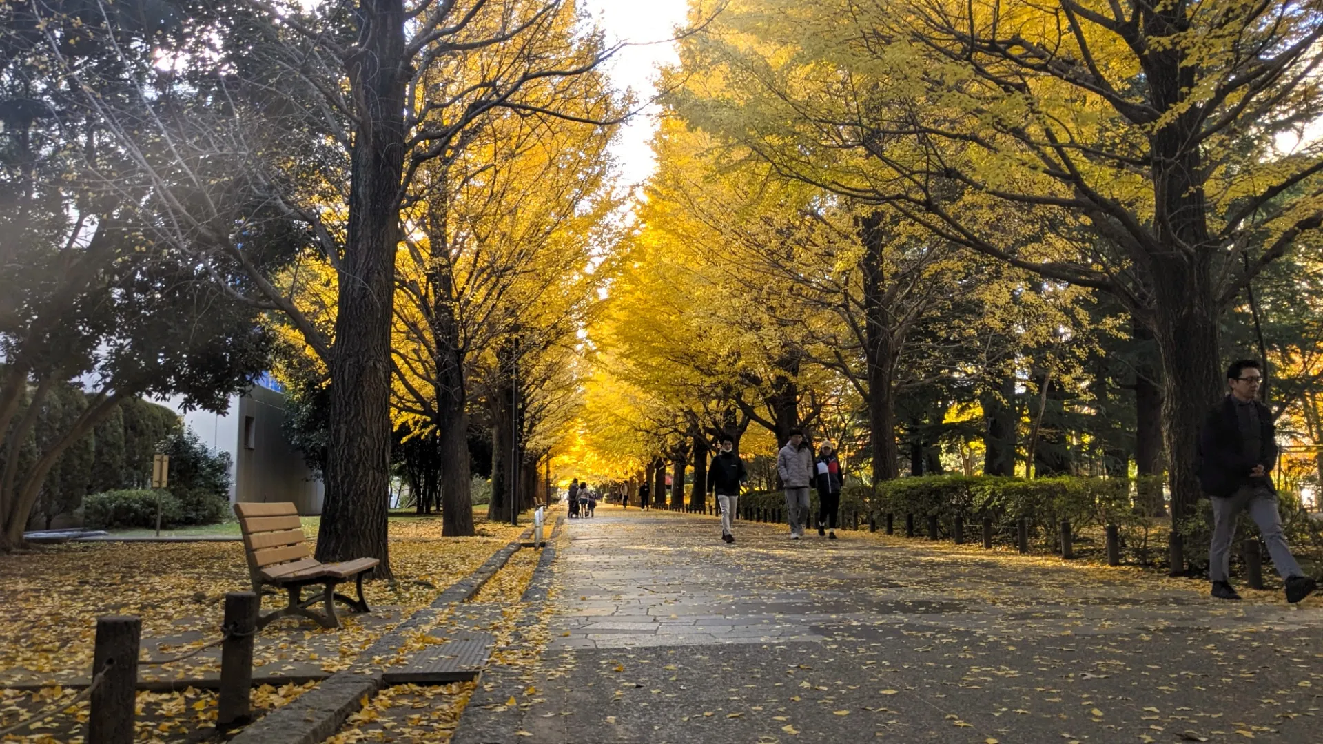 いよいよ今年最後の月、１２月