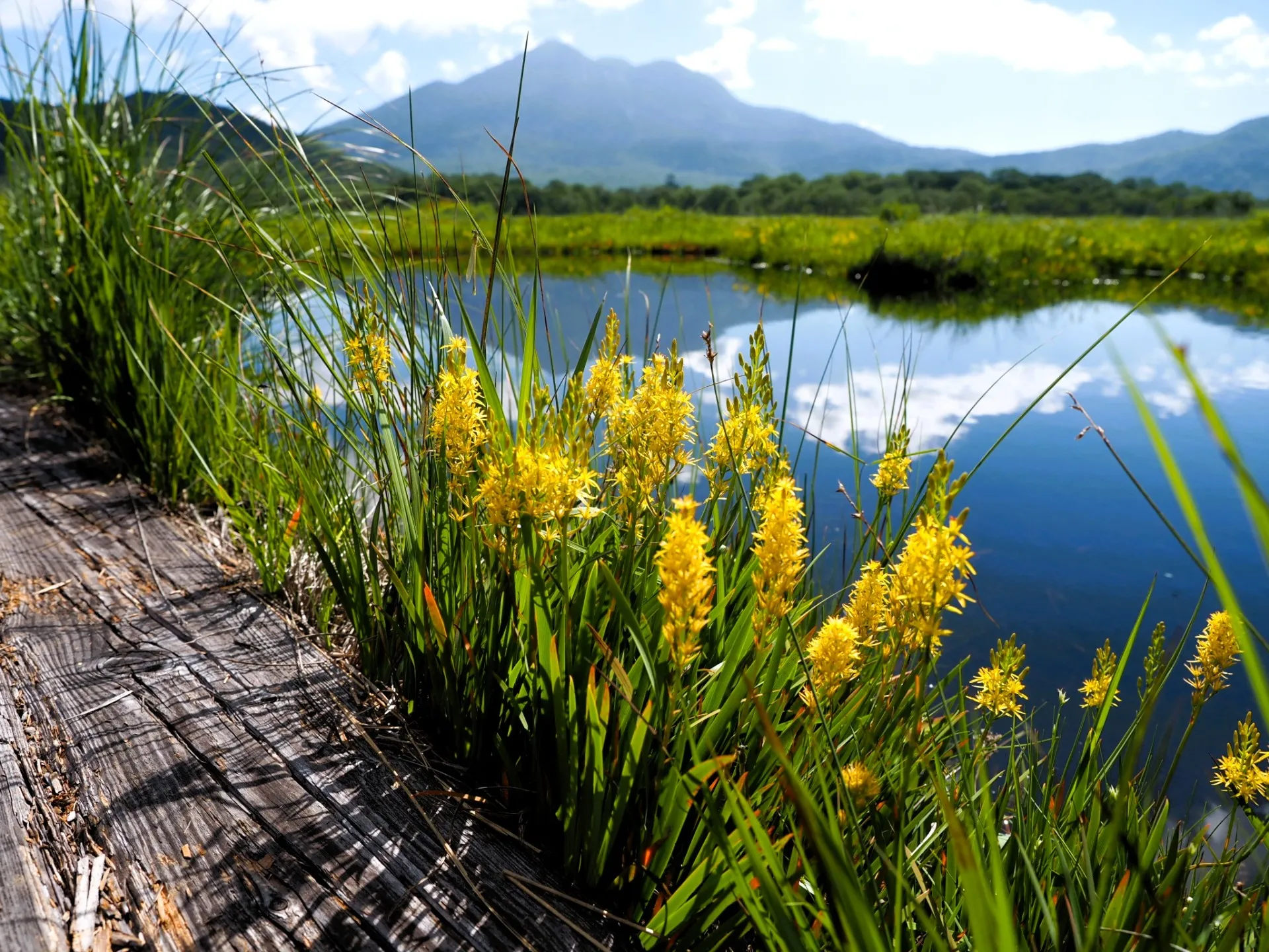ディエルシー会計事務所