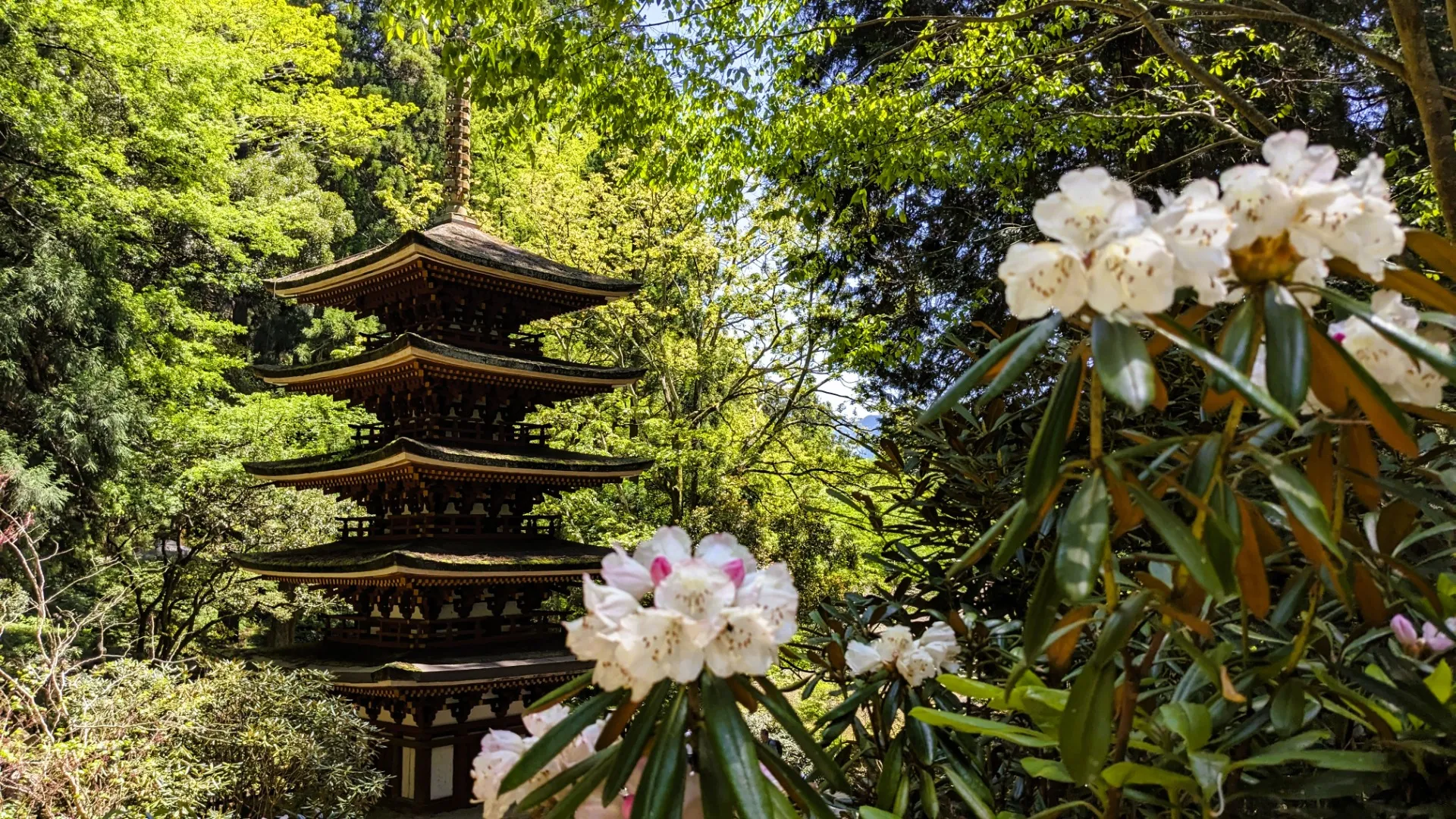 ディエルシー会計事務所