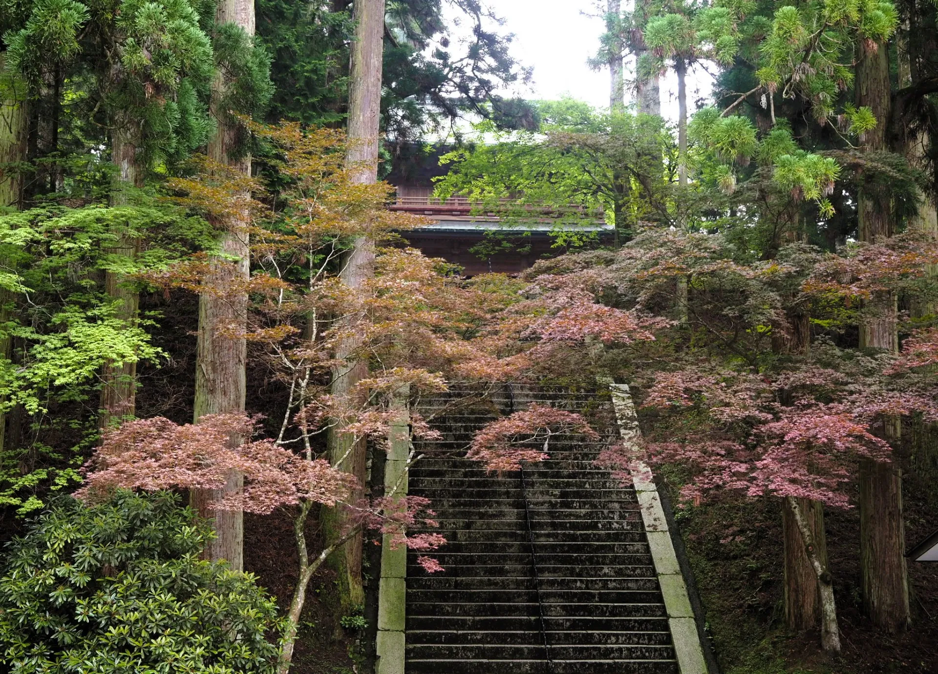 比叡山延暦寺参拝！