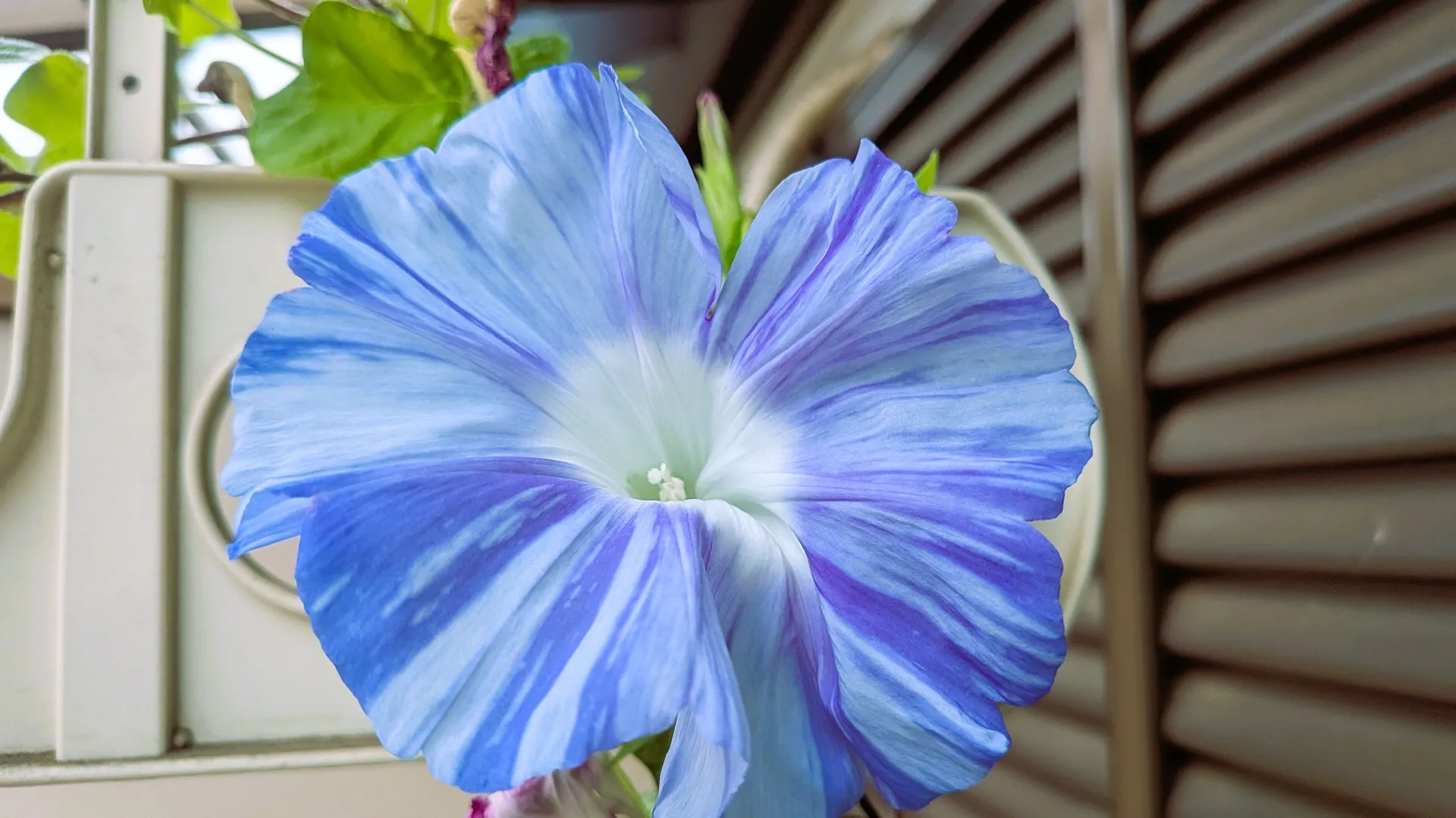 いよいよ10月！