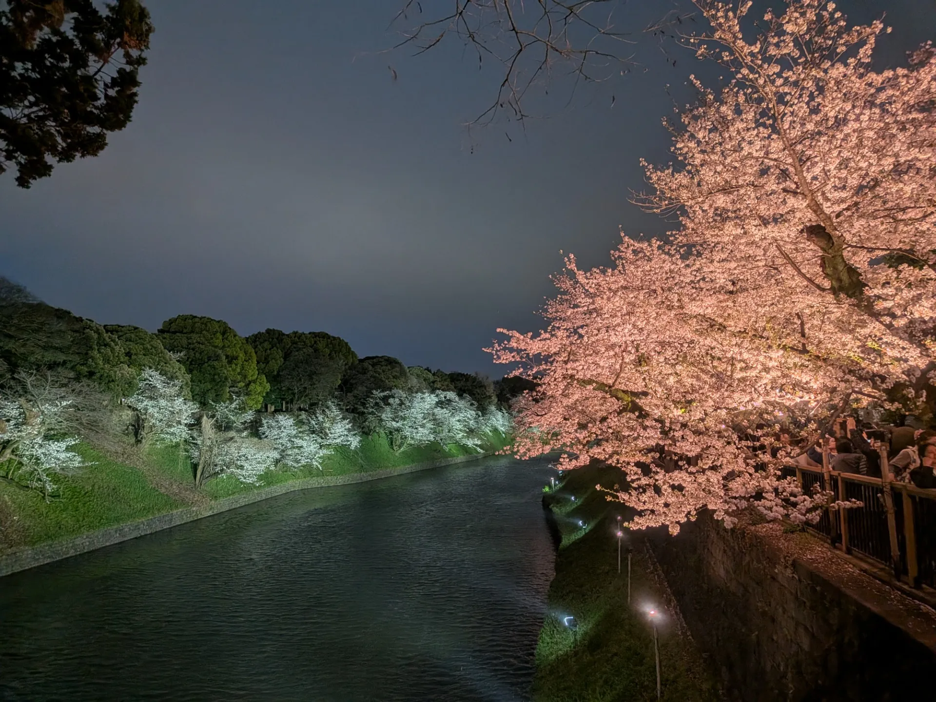 ディエルシー会計事務所